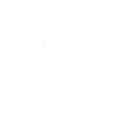 The Purple Jungle – Coliving